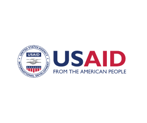 USAID – Digital Lemons client
